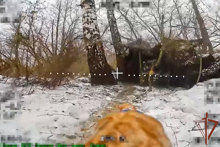 СПЕЦНАЗ РОСГВАРДИИ УНИЧТОЖИЛ ПУНКТ УПРАВЛЕНИЯ БПЛА ВСУ