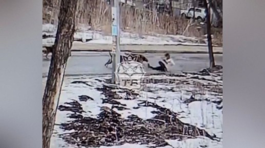 � �������� ���� ����� ����� ������� � ��������� �� ����: �����