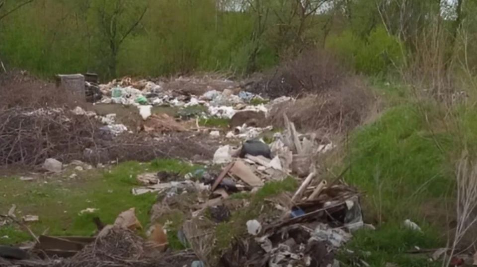 Суд обязал администрацию воронежского села Перлевка возместить 23 млн рублей ущерба, причиненного почвам незаконной свалкой