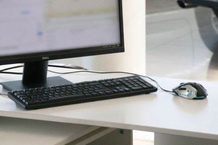 ��������, ������������, �������������, �������������: ��� ��������� � �������� ��������� ��������