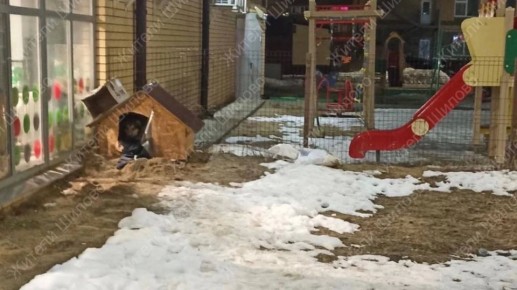 � ���� ������� �������� ������� ������ ������� ������ ����� ��� �������� �����