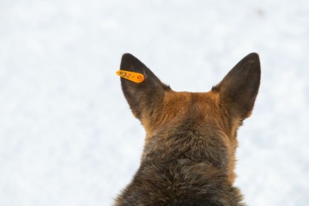 � ����������� ������� 14 �������� �������� ���������� �� ��� ������ 2026 ����