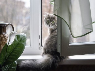 ������ � ����������� ����, � �������� �������� ������� ������� �� ��������� ������������ ������� �� 19 ����� � ��������