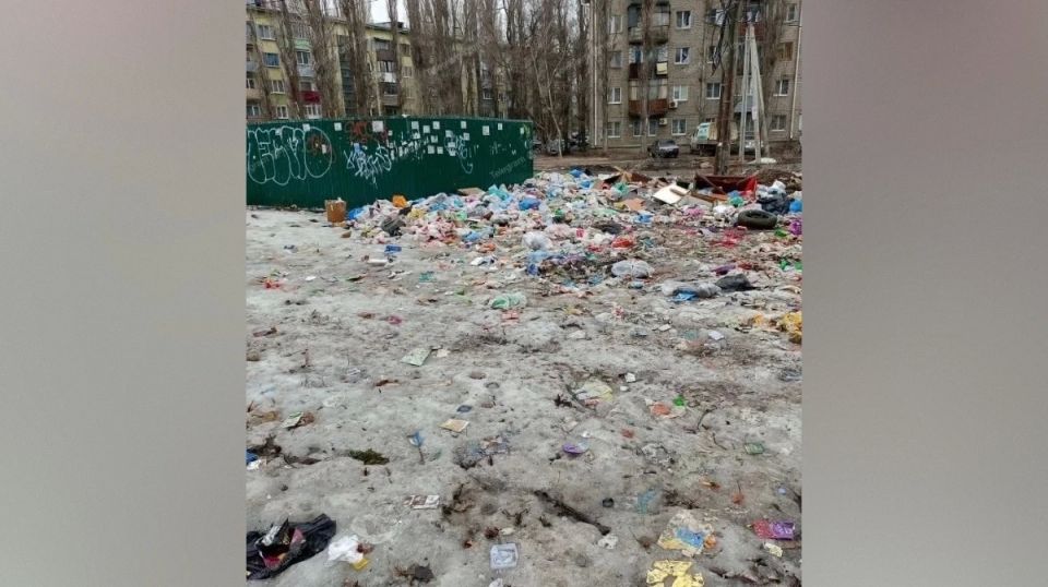 В Воронеже на улице Ростовской двор превратился в свалку с бродячими собаками