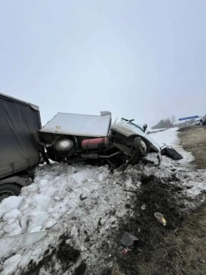 ���� ������� ������� � ������� ������������ �� ������ ������ � ������� � ����������� �������