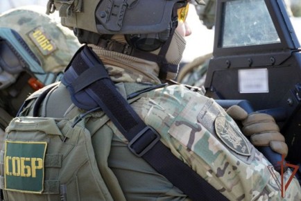 В Воронеже сотрудники СОБР «Дон» задержали подозреваемого в убийстве