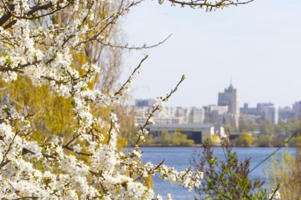 � �������� ���������� ������� 20, 21, 22 � 25 �����