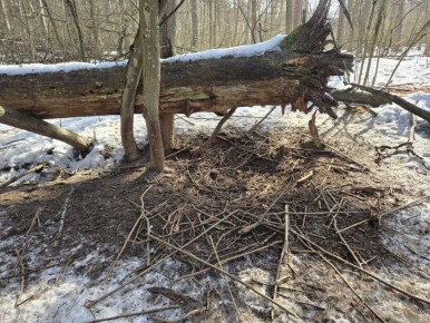 � ����������� ��������������� ��������� ���������� ����������� ����� ������� �������� ����� �������