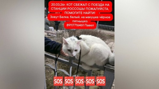 � ����������� ������� ���� ���� �����, ���������� �� ������� � �������