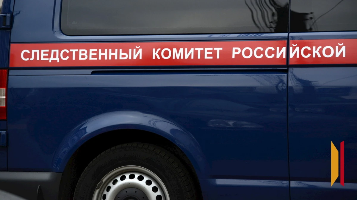 В Воронеже завели уголовное дело в отношении курьера, который подрался с женщиной