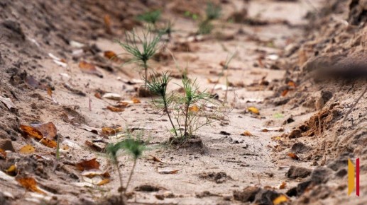 �� ��� ����������� ������� ���������� �������� ������� ����