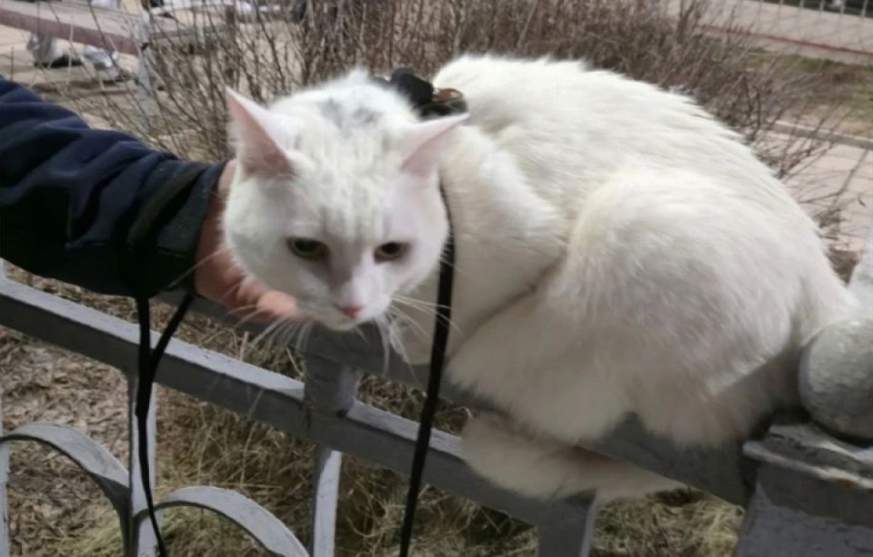 � ������� ���� ���������� � ������� ������ ���� �� ������ �����