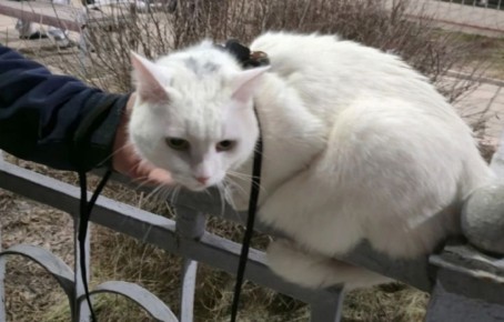 � ������� ���� ���������� � ������� ������ ���� �� ������ �����