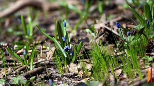 �� ����� ������� ������ � �������� ��������� �� +15 ��������