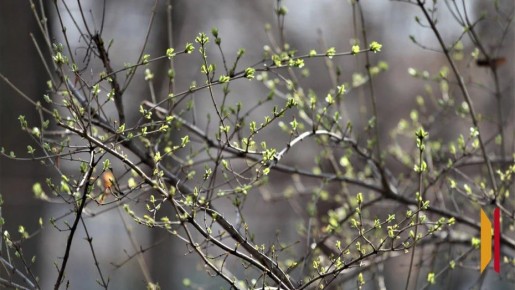 � ����������� ������� � ����� ������� ������ ��������� �� +17 ��������