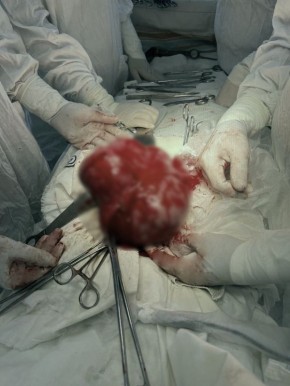 ����������� ����� ������� � 42-������ ������� �������� ������� �����