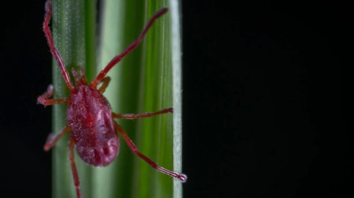 � ����������� ������� �������� ������� ��������� �� ������ � �������