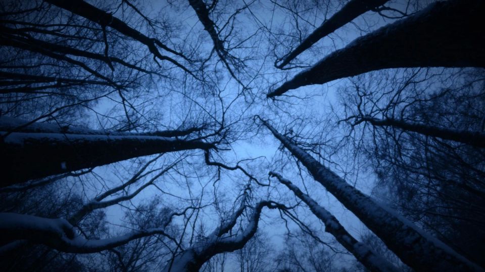 � �������� ������� ����� �������, ������� ����� � ������� ������� ����� ���