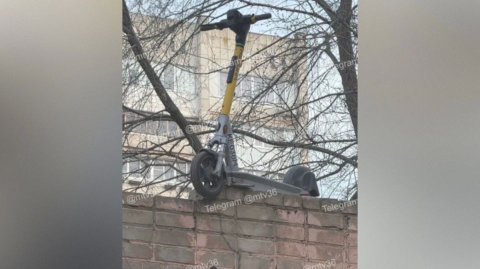 � �������� ����������� ��������� ��������������� �� ����� �������