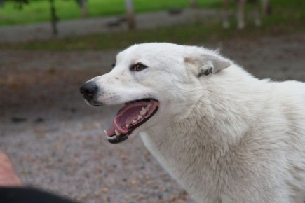 � �������� ���� ���������� ��� ������������ �������� � ������ � ������������ ������