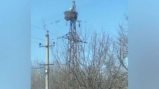 ����� ��������� � ����������� ������� ������ �����