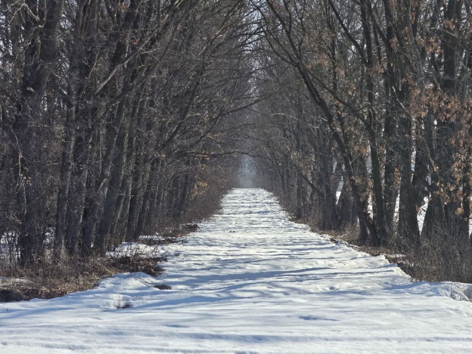 ������ �������: ����������� ������� ��������� ������� �����))*