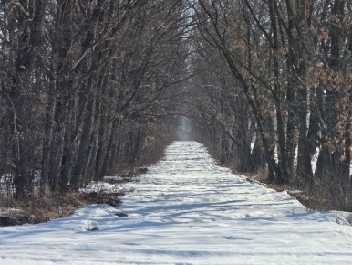 ������ �������: ����������� ������� ��������� ������� �����))*