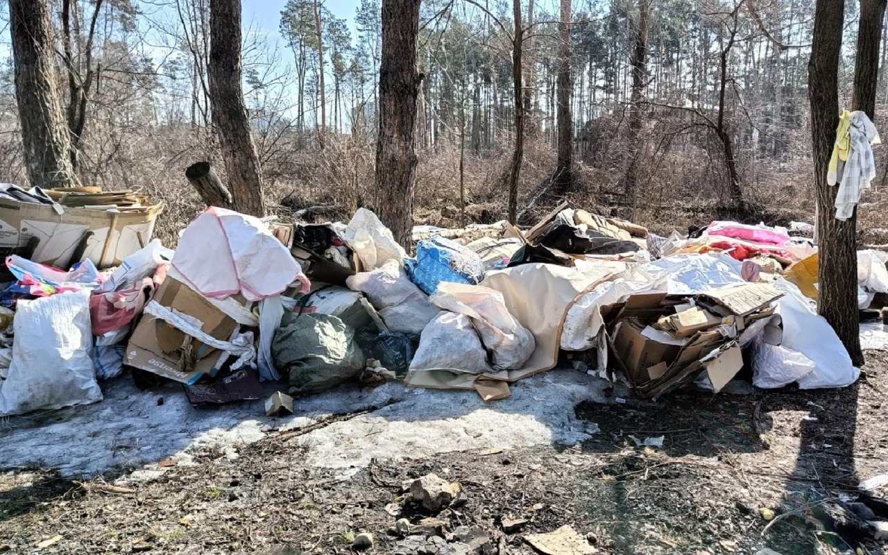 Жители Коминтерновского района пожаловались на свалку твердых коммунальных и бытовых отходов на территории памятника природы «Северный лес»