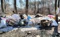 Жители Коминтерновского района пожаловались на свалку твердых коммунальных и бытовых отходов на территории памятника природы «Северный лес»