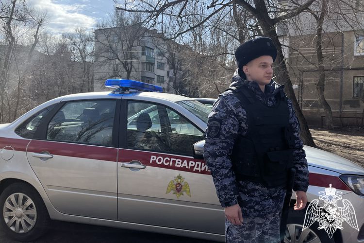 ����� 240 ��� �� ������ ������������ � ����������� ������� �������� �� ������� ���������