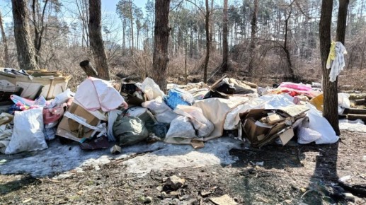 ����������� ������� ����������� ���������� ������ � �������� ����