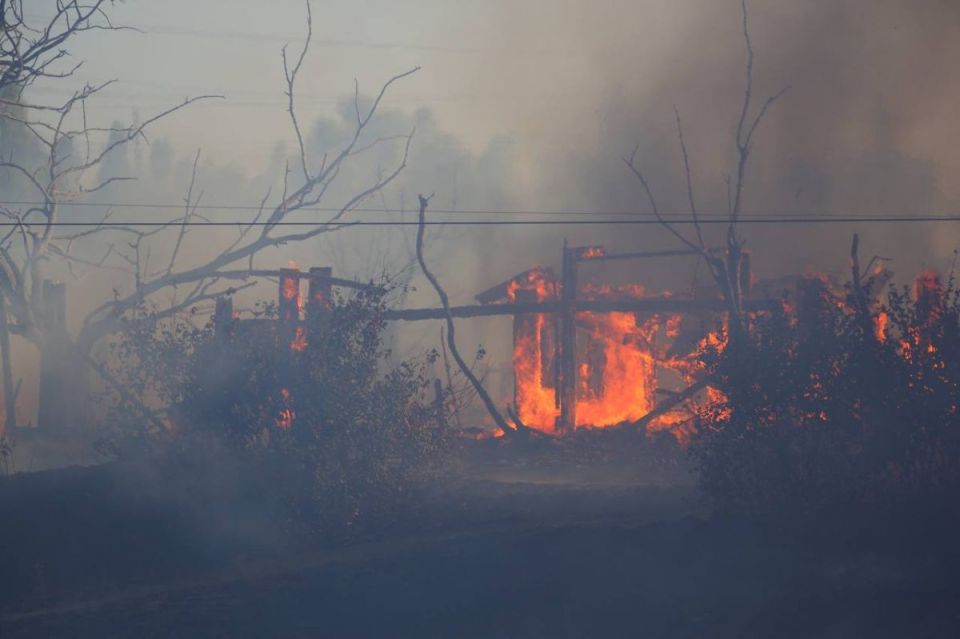 24?������ ������� ������� ��� ������ � ������ ������ ��� ���������