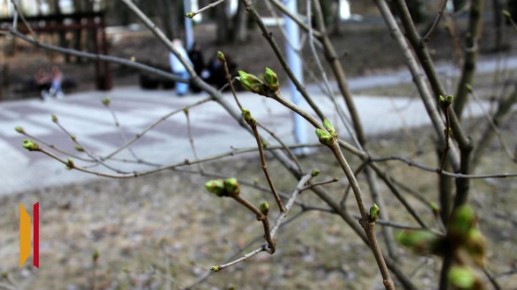 Воронежцев ждут пасмурные и теплые выходные