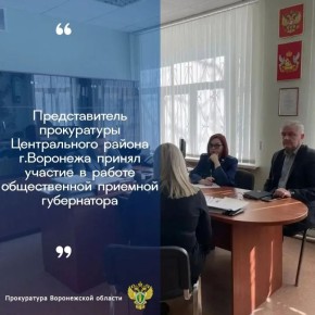 Прокуратурой Советского района города Воронежа проведена проверка исполнения законодательства при предоставлении мер государственной поддержки