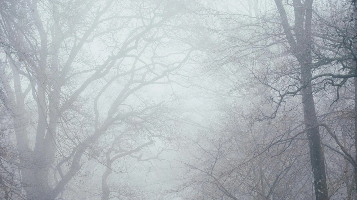 В Воронежской области продлили предупреждение по туману