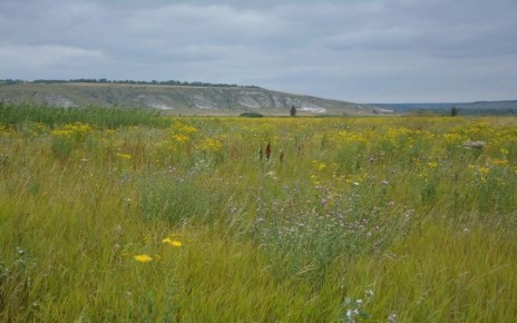 ����������� ������� ���������� � ���������� ������ �� ������������ ������� �������� ������������ ��� 187 ���������� �������