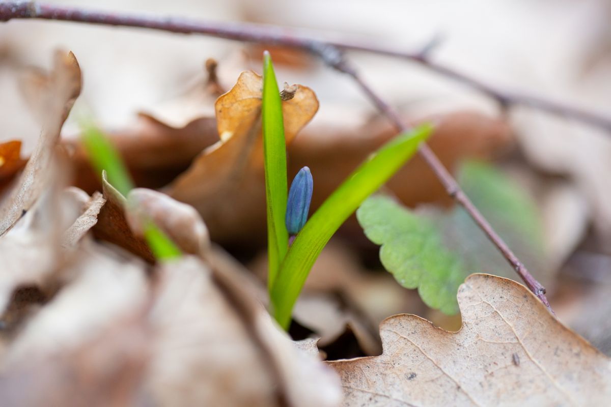 В Воронежской области 30 и 31 марта потеплеет до +20 градусов