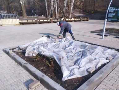 Воронеж готовится к цветению: в парках раскрывают розарии