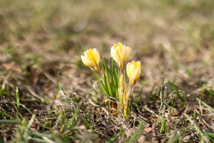 � ������ ����� ����� ������ �������� �������