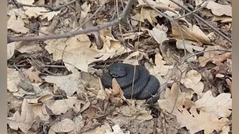 �� ���������� �������� �������� �������� ����