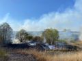 3-й класс пожарной опасности установили в трех районах Воронежской области