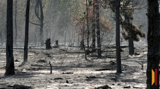 � ����������� ������� ��������� ����� 100 ����������� ������� �� ������