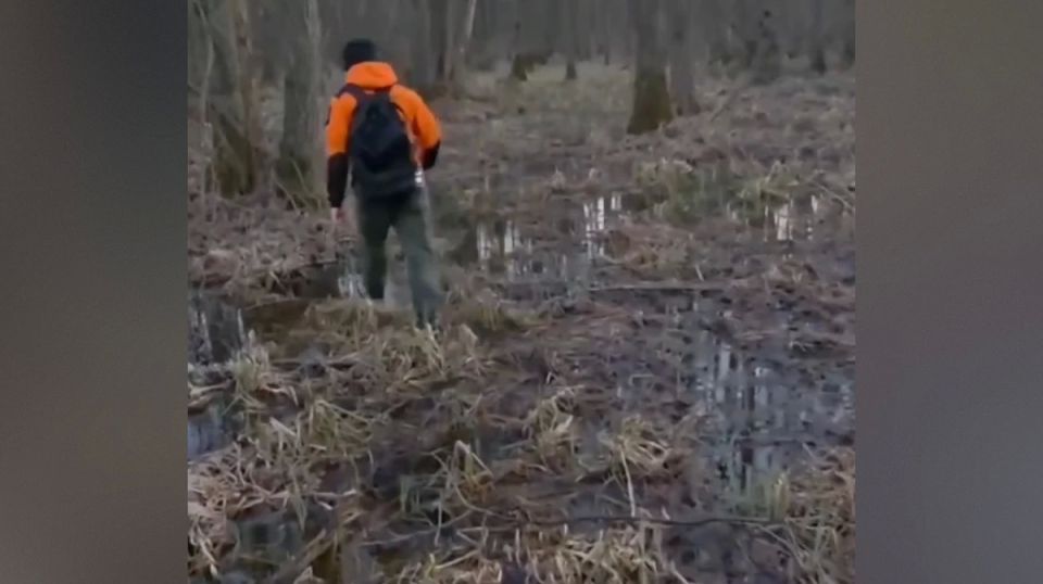 В Воронеже волонтеры рассказали о продолжении поисков 72-летнего мужчины