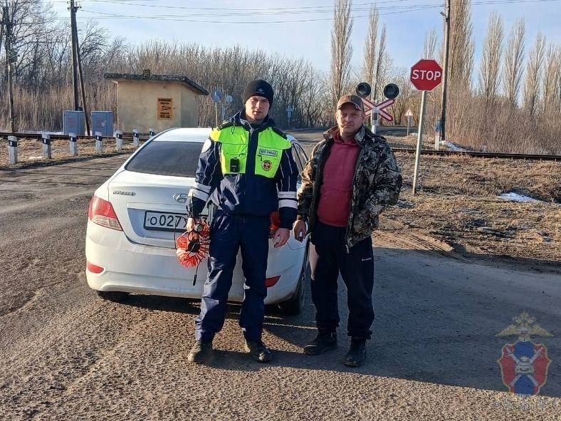 ����������������� ������ �� ������ ��������, ������������ � ������� �������� ��������