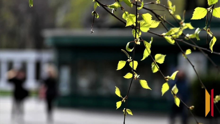 Синоптики рассказали, каким будет апрель