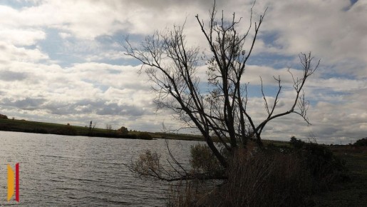 ���� ������� ������� �� ��� ���� ��� � ������