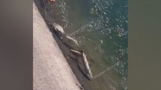 � �������� � ����� ����� ��������� ��������� ������� ������� ����