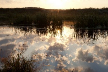 В Воронежской области из реки достали тело утонувшего мужчины