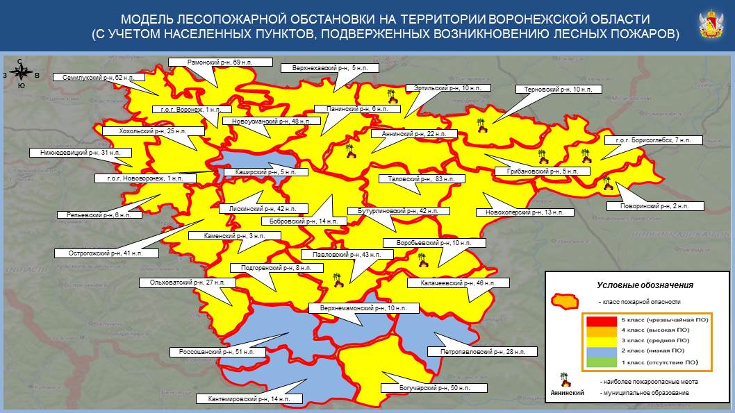 В Воронежской области выросло количество районов с пожарной опасностью
