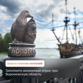Живете в Воронежской области? Ваш взгляд на жизнь в регионе важен для нас! Пройдите короткий опрос всего за несколько минут